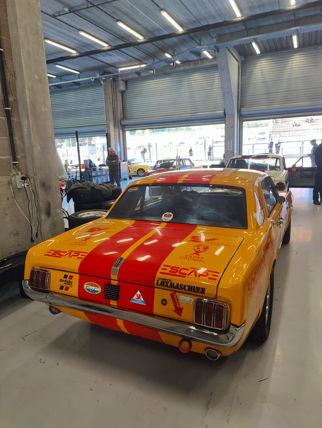 Synergy Advisors-sponsored Ford Mustang, rear view